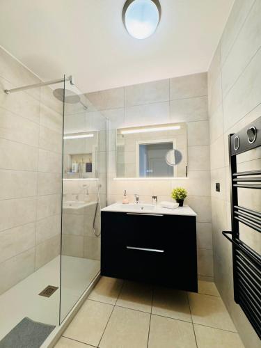une salle de bain avec un lavabo et une douche en verre dans l'établissement Beautiful Apartment near Geneva, à Saint-Julien-en-Genevois