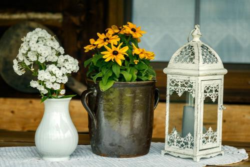 Fotografie z fotogalerie ubytování Miejsce po Dworze v destinaci Polana