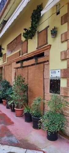 a row of potted plants on the side of a building at 1920s Rooms in Kalamata