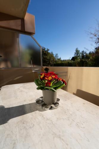 Photo de la galerie de l'établissement Le Botanique, à Nice