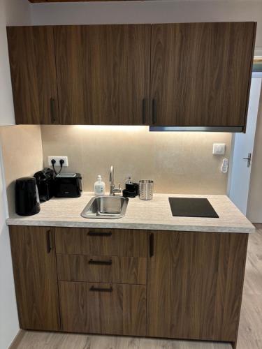 une cuisine avec un évier et un plan de travail dans l'établissement Studio 50m des pistes, à La Salle Les Alpes