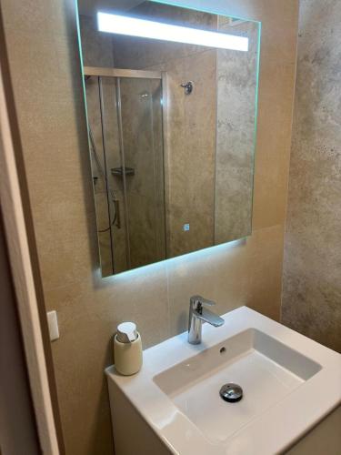 une salle de bain avec un lavabo et un miroir dans l'établissement Studio 50m des pistes, à La Salle Les Alpes