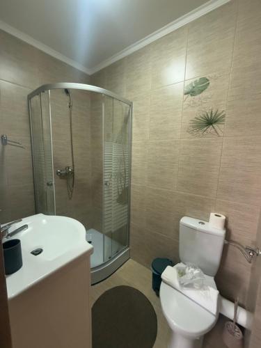 a bathroom with a toilet and a shower and a sink at Casa Vădeanu in Sighetu Marmaţiei