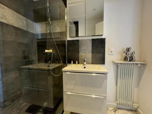 une salle de bain avec un lavabo et une douche dans l'établissement Cozy one bedroom apartment with balcony and parking, à Cannes