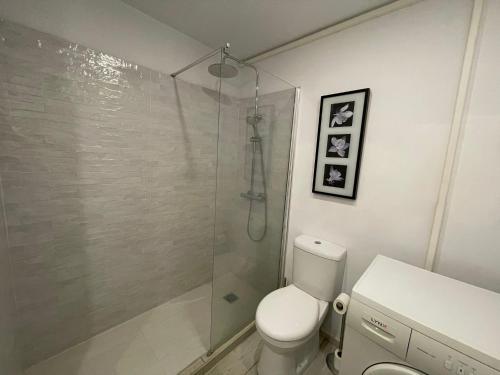 ein Badezimmer mit Toilette und Glasdusche in der Unterkunft La Casita de Niagara in San Miguel de Abona