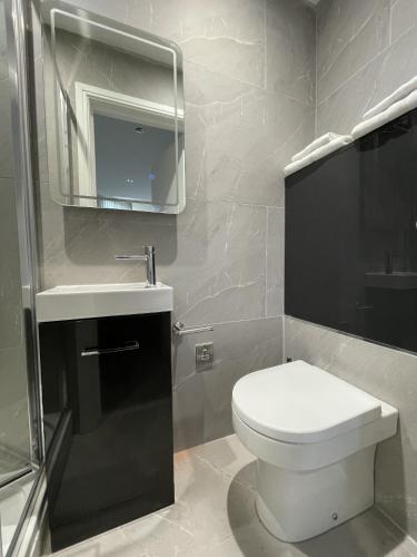 a bathroom with a toilet and a sink and a mirror at Park View in Leicester