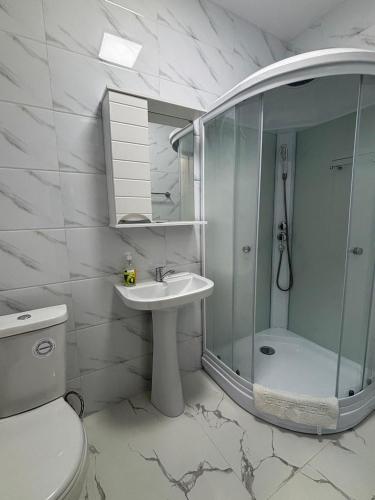 a bathroom with a shower and a sink and a toilet at Гостиница ,,Меркурий и К,, in Astana