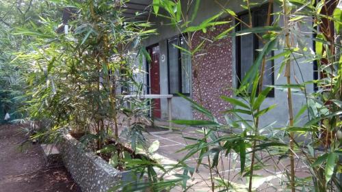 a house with a red door and some plants at Samartha Cottage, Varsoli in Alibaug