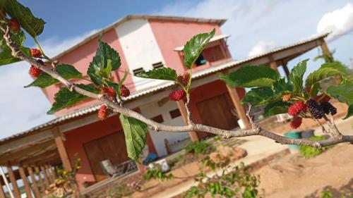 O edifício em que o hotel-fazenda rural se localiza