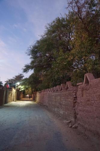 a brick wall with trees on the side of it at Hotel Pirwa in San Pedro de Atacama