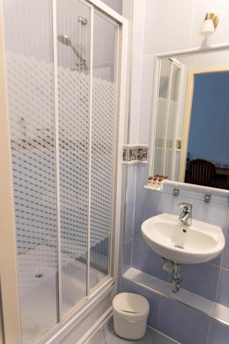 a bathroom with a shower and a toilet and a sink at Hotel Napoleon in Wróblew