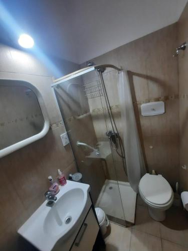 a bathroom with a shower and a sink and a toilet at Los nainos in Balneario Claromecó