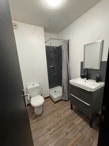 a bathroom with a toilet and a sink and a shower at Studio blain in Blain