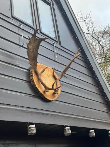a deer head on the side of a house at Chalet 190 La Belle Durbuy in Durbuy