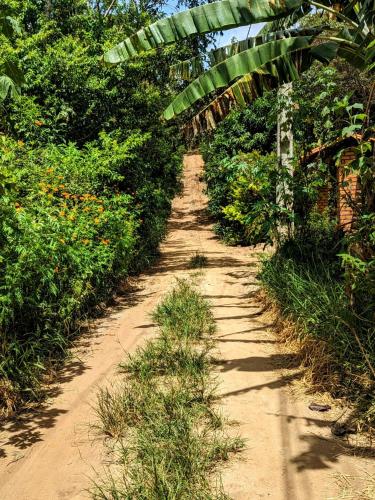 a dirt road with trees and plants on it at Casa das Irmãs - Só Mulheres - Women Only in Vale do Capao