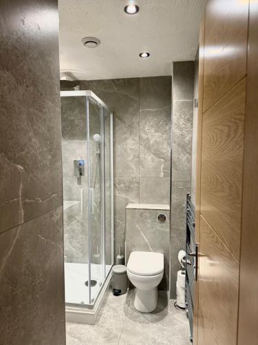 a bathroom with a shower and a toilet in it at Oxford city centre Modern 2-Bed flat in Oxford