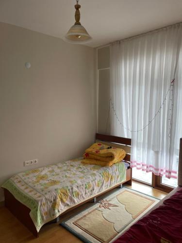 a bedroom with a bed in a room with a window at Villa Efes in Hisarcık