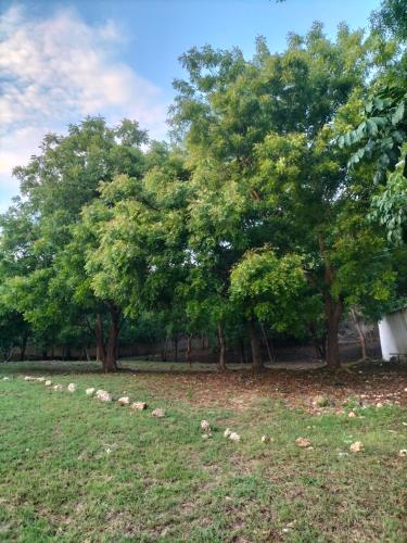 Gallery image of Tabasamu Gardens, Backpackers Paradise in Ukunda
