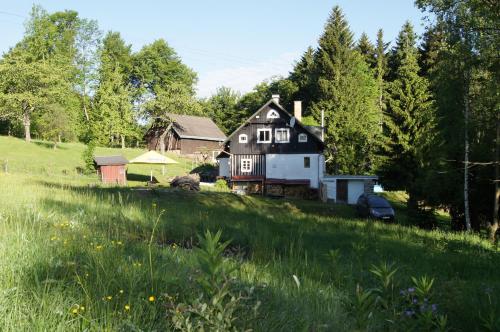 a house on a hill with a green field at Na Sluneční Pohádková chaloupka ve Sladké díře in Příchovice