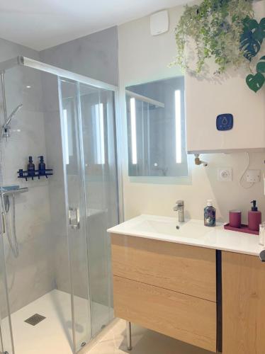 une salle de bain avec douche et lavabo dans l'établissement Les Gentianes bleues, T2 cocon en hyper centre, à Lons-le-Saunier