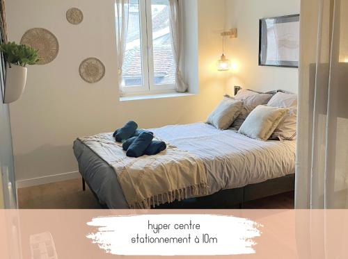 Les Gentianes bleues, T2 cocon en hyper centre