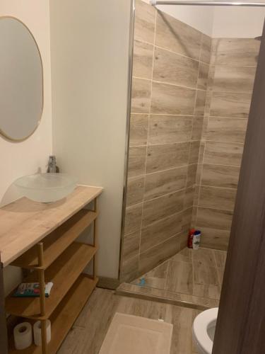 une salle de bain avec un lavabo et une douche dans l'établissement La Résidence des Feutres app3 au RDC, à Gérardmer