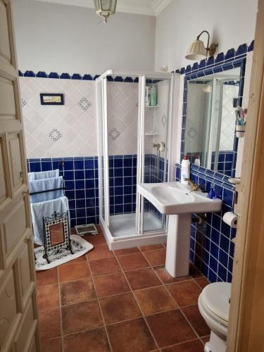 a blue tiled bathroom with a shower and a sink at El Granero de Manzanares in Manzanares