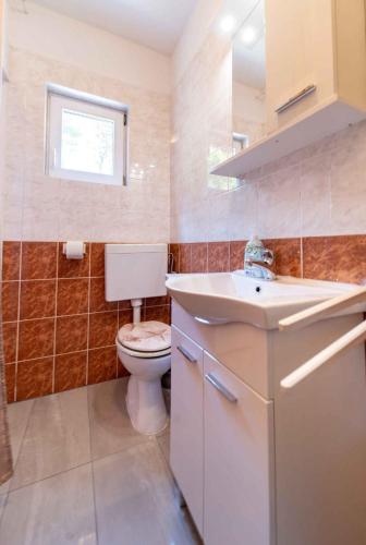a bathroom with a toilet and a sink at Apartment Kampor 1 in Kampor