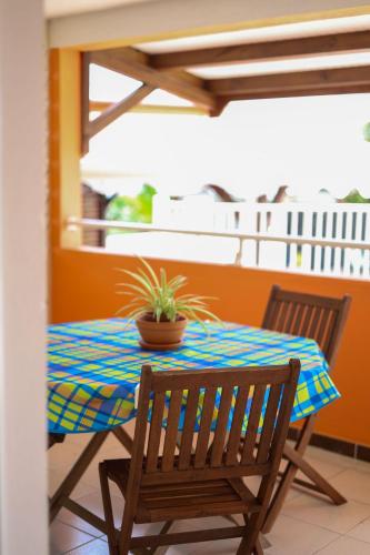 a table with a potted plant on a balcony at Villa Quenette au François in Le François