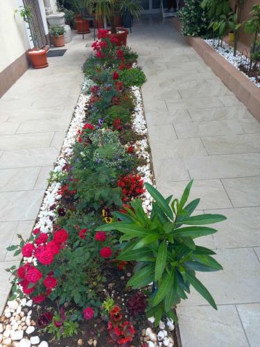a row of flowers and plants in a garden at ELA i GABI in Omišalj
