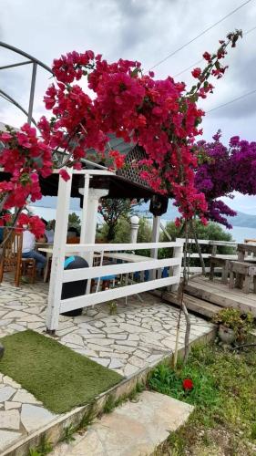 Zahrada ubytování Mermaid Hotel Vlore