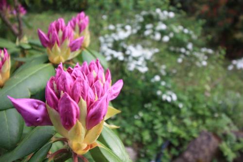 Gallery image of Un Jardin Secret in Yzeron