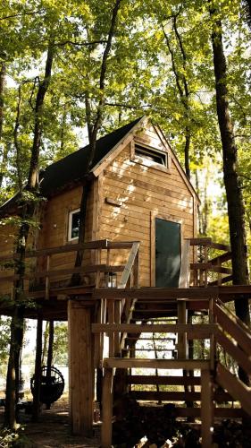 a tree house in the middle of the forest at Stodoła na drzewach in Justynów