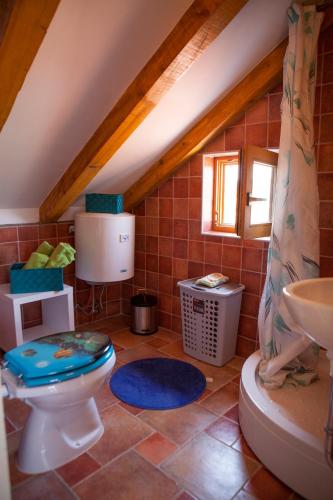 a bathroom with a toilet and a sink at Apartments AstaLaVIsta in Okrug Donji