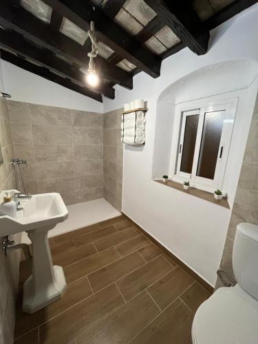 a bathroom with a sink and a toilet at El Encanto de Jerez in Jerez de la Frontera