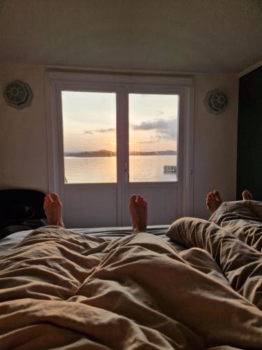 a person laying in bed looking out of a window at Cabin at the sea close to public beach with a jumpingtower in Höviksnäs