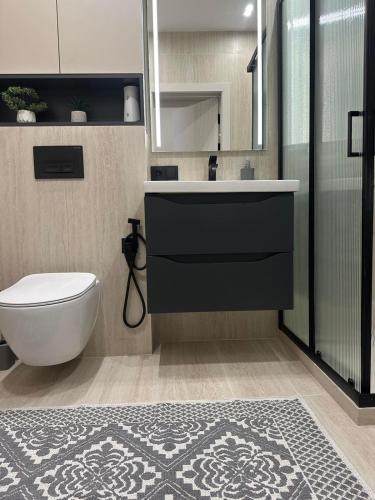 a bathroom with a toilet and a sink and a shower at Privat Apartment Ciocana in Chişinău