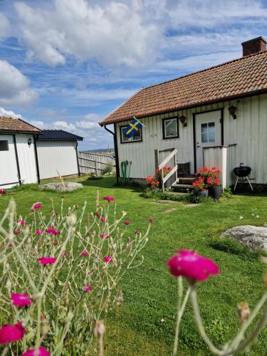 a house with pink flowers in front of it at Cabin at the sea close to public beach with a jumpingtower in Höviksnäs