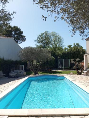 House with pool in Alpilles