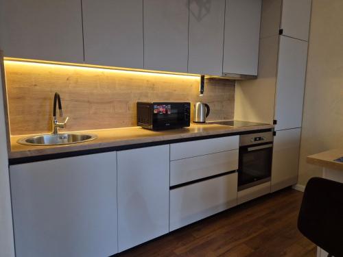 Kuchyň nebo kuchyňský kout v ubytování Apartment Modern Nest
