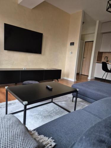 TV a/nebo společenská místnost v ubytování Apartment Modern Nest