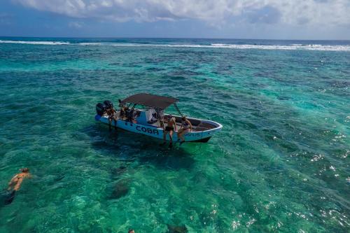 Landskap semula jadi dekat dengan bot ini