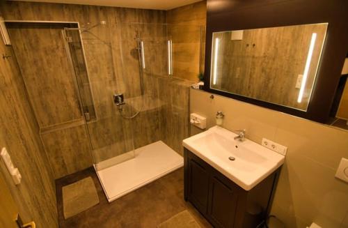 a bathroom with a shower and a sink and a mirror at Huber's Lodge in Hainzenberg