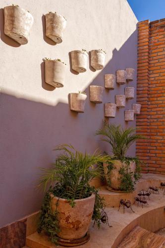 a group of pots hanging on a wall with plants at Alesia - Boutique Hotel & Spa in Aguascalientes