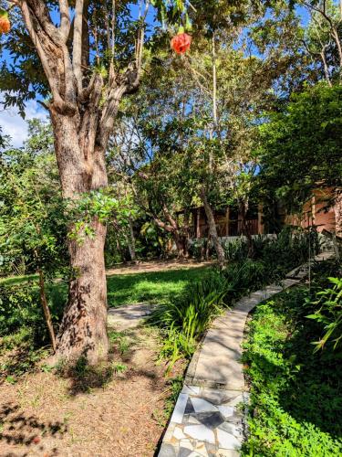 a tree and a walkway in a park at Casa das Irmãs - Só Mulheres - Women Only in Vale do Capao