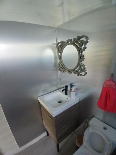 a bathroom with a sink and a mirror and a toilet at Bungalow Lolo Moringa in Bouillante
