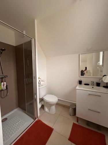 une salle de bain avec une douche, des toilettes et un lavabo dans l'établissement Le petit val, à Pinchefalise