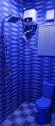 a blue bathroom with a toilet and a hair dryer at Daprem Luxury Self Contained Apartments in Uyo