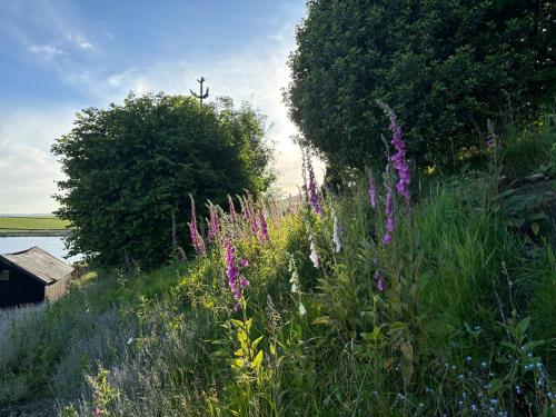 a field with purple flowers and trees and a body of water at Luxury Retreat in Embsay