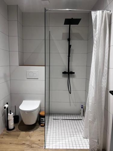 BrécéにあるStudio cosy près de Rennesのシャワーとトイレ付きのバスルーム